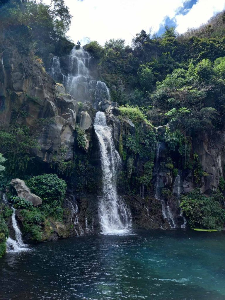 Aigrettes la réunion Soel Voyages